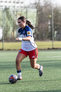 Bild 258 - wBJ Hamburger SV - Hertha BSC : Ergebnis: 2:1